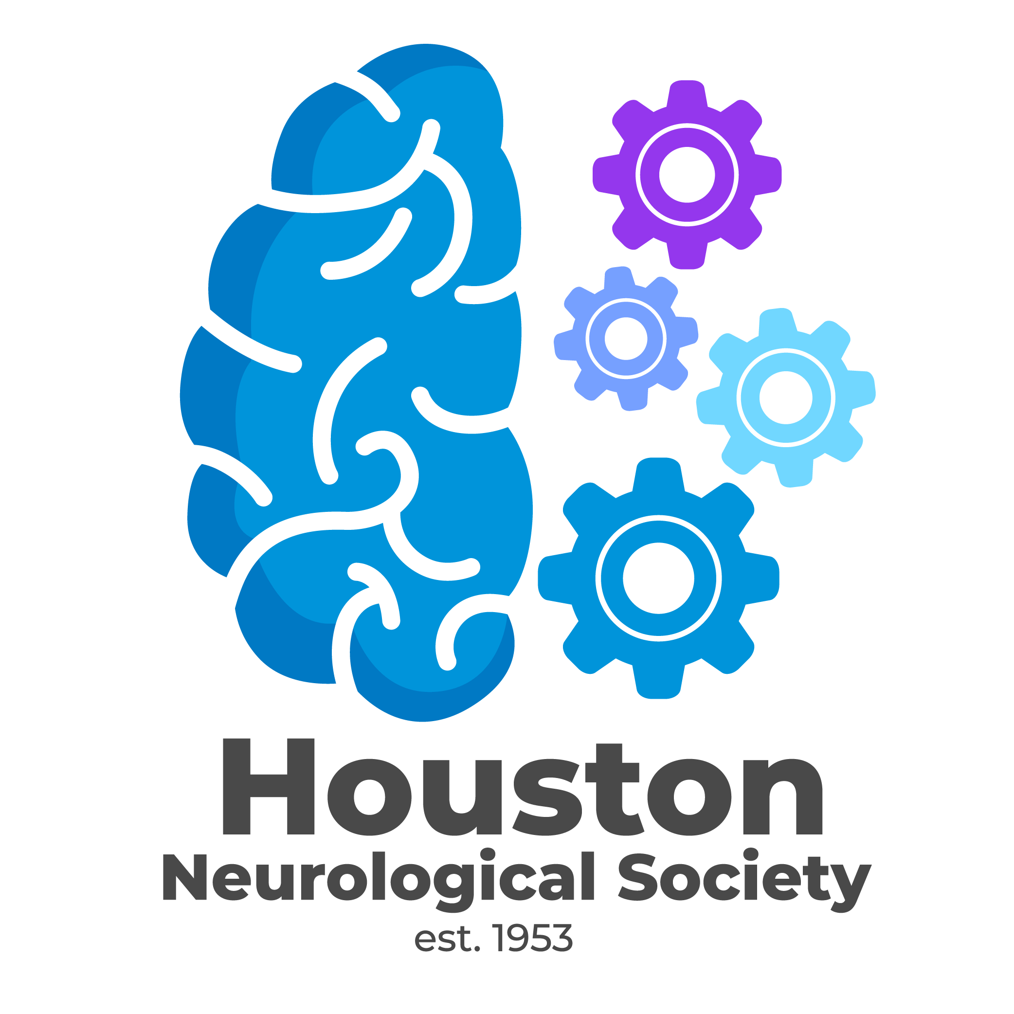 Houston Neurological Society logo